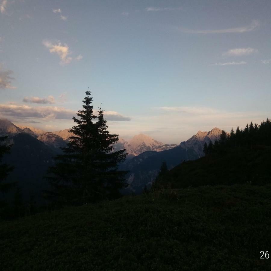 Da Nicola E Laura Leilighet Santo Stefano Di Cadore Eksteriør bilde