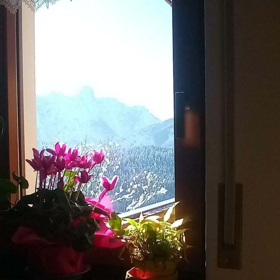 Da Nicola E Laura Leilighet Santo Stefano Di Cadore Eksteriør bilde